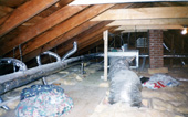High Velocity Heating and Cooling